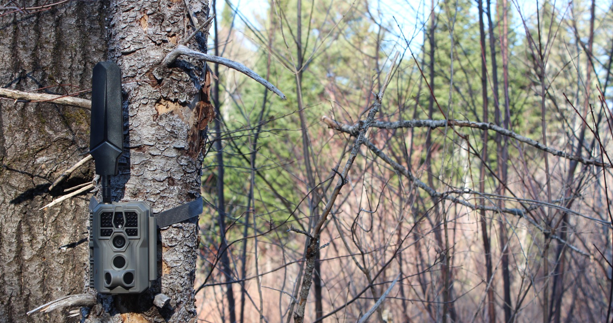 GardePro X66 Pro Max: 2.8K AI Cellular Trail Camera Revealed