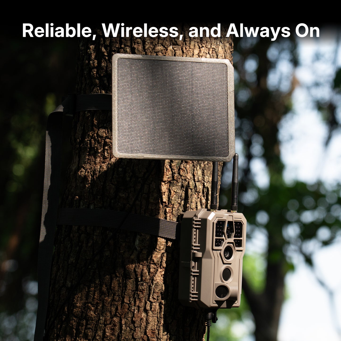 GardePro E8 2.0 WiFi Trail Camera with solar panel mounted on tree for reliable wireless outdoor monitoring.