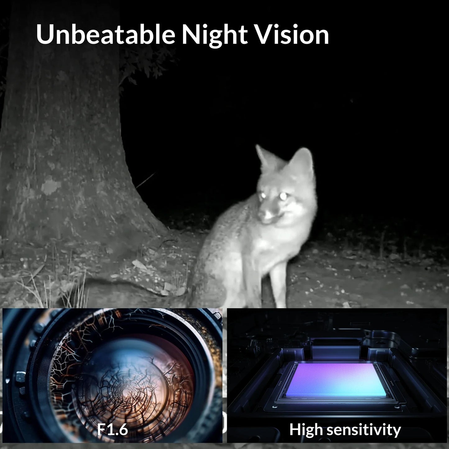 GardePro X60P Live Max Built in 32GB SD Card Wi-Fi Trail Camera,trailer backup camera,good trail camera, trail cameras on sale,best cell phone trail camera