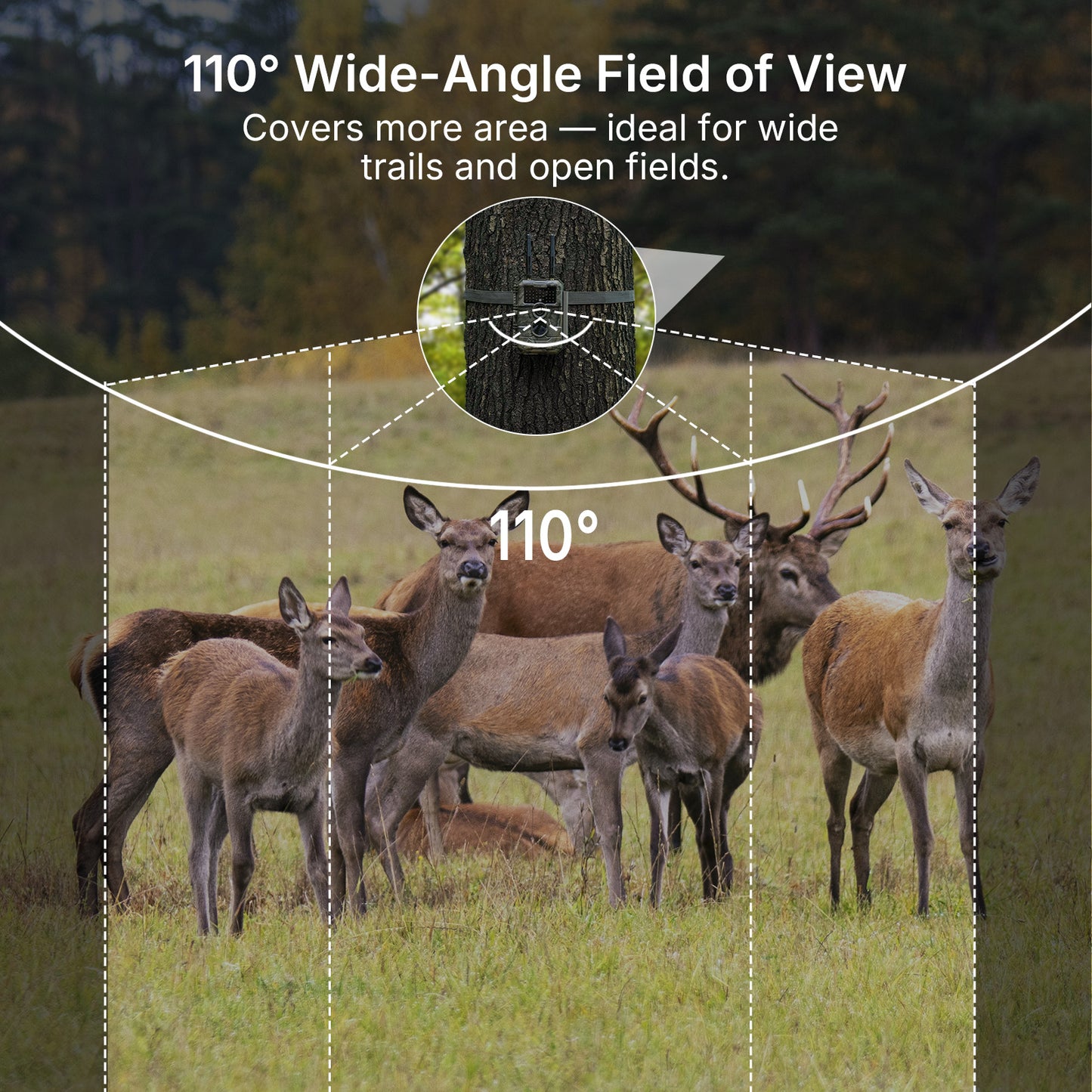 GardePro E6 2.0 Pro WiFi Trail Camera - GardePro