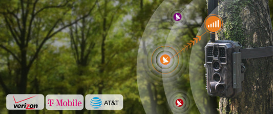 How Does a Cellular Trail Camera Work?