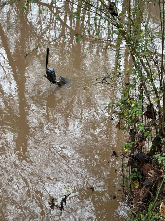 Surviving the Flash Flood: How Extreme Camera Durability Empowers Wildlife Conservation