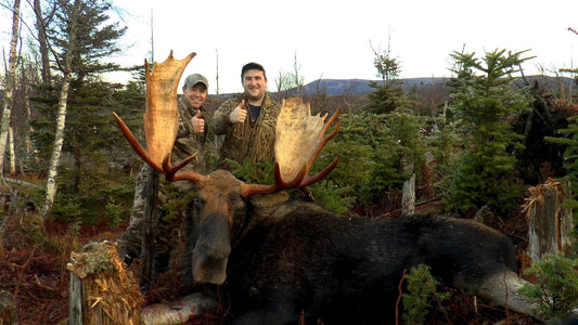 Best 4G Trail Camera for Wildlife, Hunting & Security