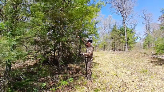 Best Hidden "Buck Magnet" In Big Woods