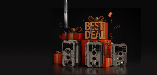 2025 Black Friday Trail Camera Buying Guide