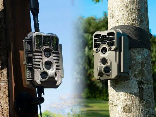 Cellular vs. Non-Cellular Trail Cameras: Which One Is Best for Your Setup?