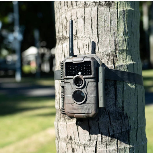 How to Get the Most from Your GardePro E6 Wi-Fi Trail Camera