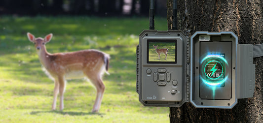 Trail Camera Battery Types: What to Use and How to Make Them Last Longer