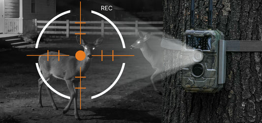 The Future of Remote Surveillance: Ultimate 2026 Guide to Trail Camera Technology