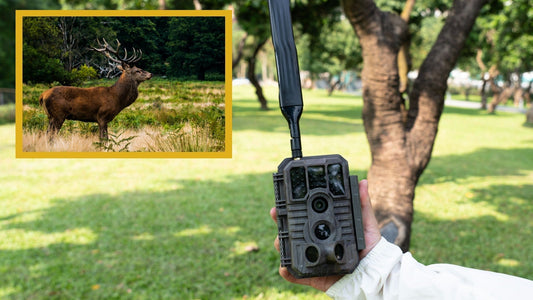GardePro App for Live Stream Cellular Trail Camera Review