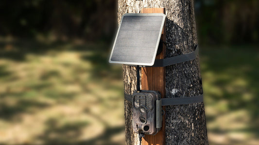 Why a Solar Panel Is Essential for Cellular Trail Camera