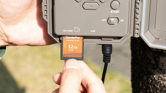 How to Choose the Correct SD Card for a Trail Camera
