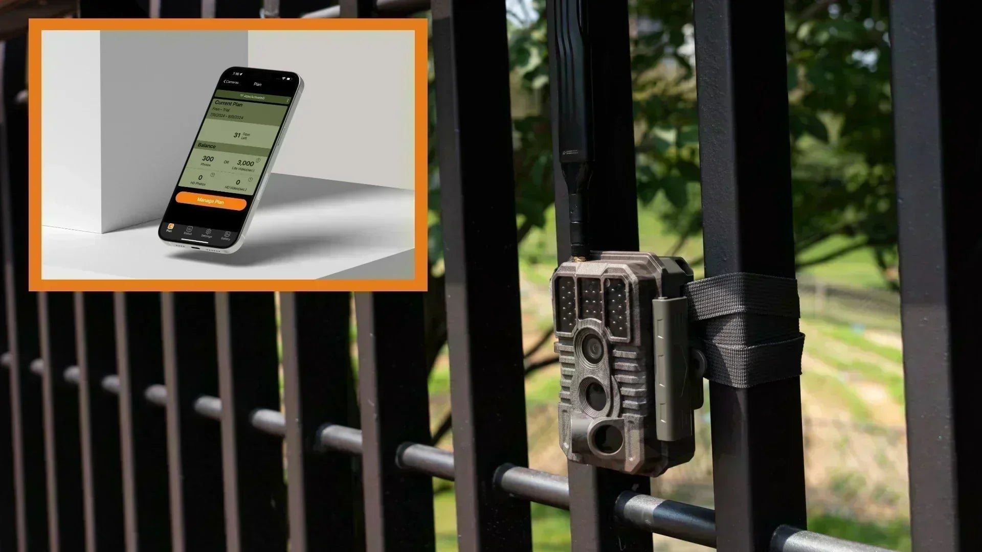 How to Choose Data Plan for Your Cellular Trail Camera