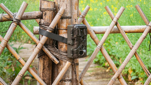 How to doing time lapse on GardePro trail cameras?