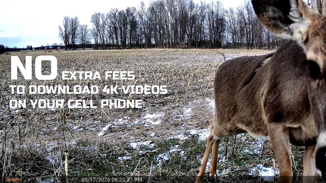 Say Goodbye to DATA PLANS This is the NEW Trail Camera of the FUTURE!