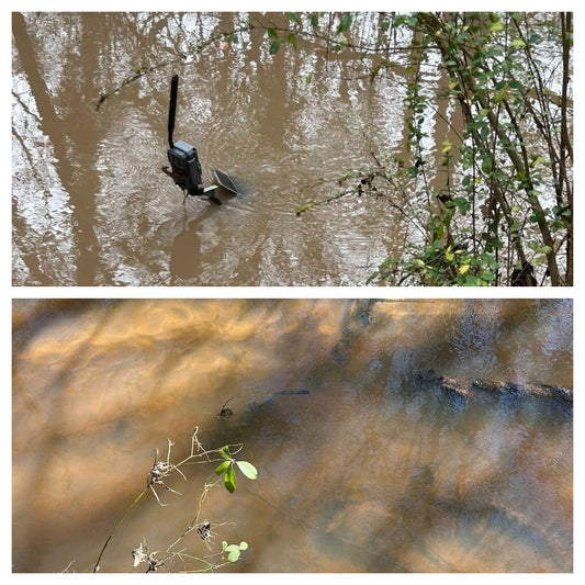 Surviving the Flash Flood: How Extreme Camera Durability Empowers Wildlife Conservation