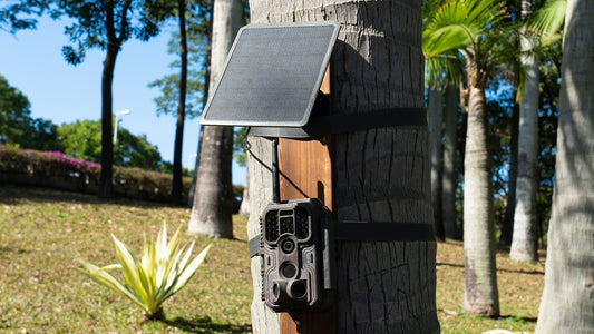 Power Without Limits: The Best Solar Panel for Your Trail Camera