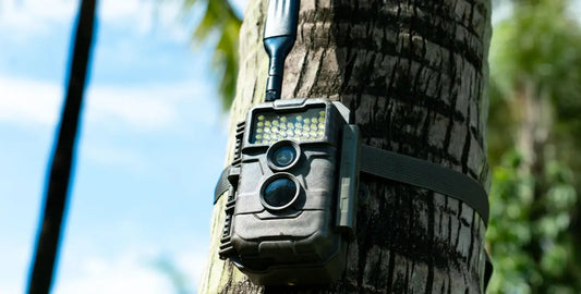 GardePro X20WF Cellular Trail Camera: Best Use Cases, White Flash Who It’s For