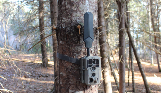 GardePro AI trail camera with external antenna, installed on a tree trunk for off-grid wildlife and property security