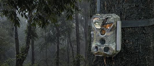 A weathered trail camera strapped to a tree trunk in a misty forest.