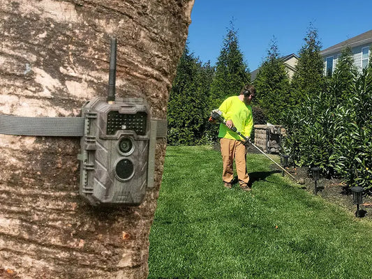 How to Use Trail Cam Tech to Uncover Your Backyard’s Secret Life