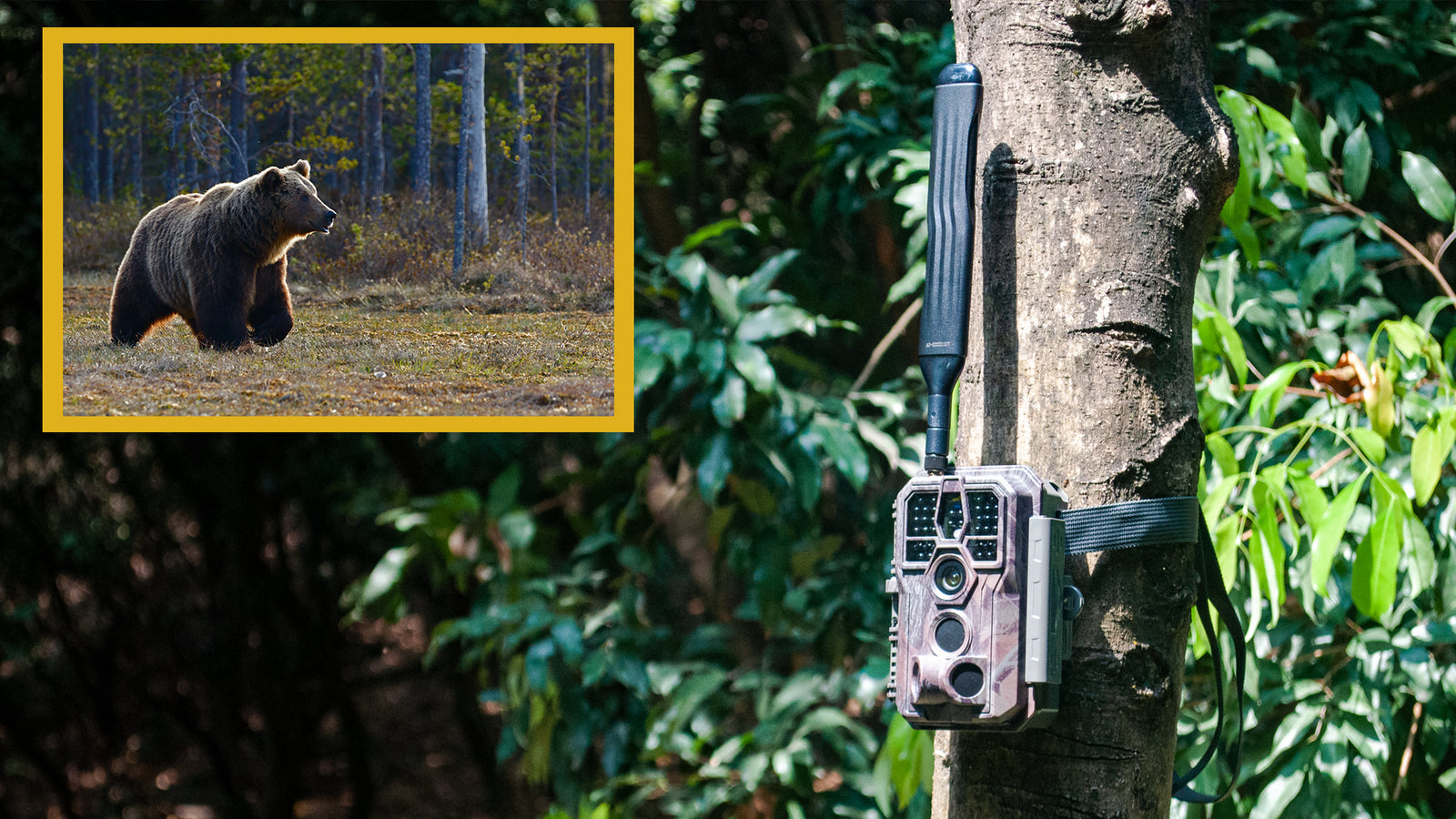 Benefits of using GardePro trail cameras for research