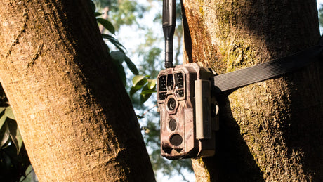 How to use GardePro trail cameras to take better photos/videos