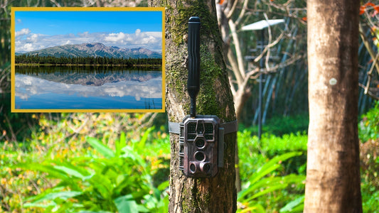 Top 10 Best States for Hunting in the USA: Part 1 (AK, TX, MT)