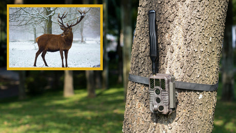 GardePro cellular trail cameras activation notes