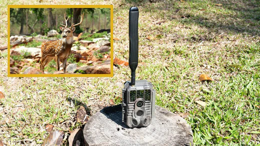 Snap Up Savings: Incredible GardePro Trail Camera Deals Await You!