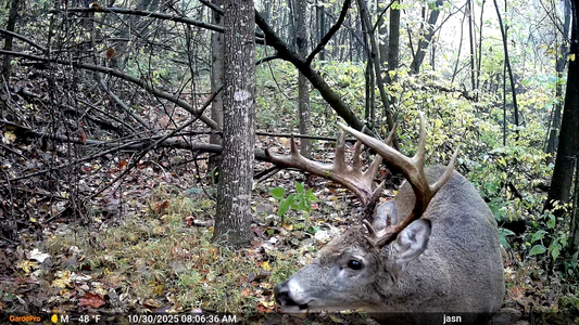 Best Trail Camera Placements for the 2026 Deer Season