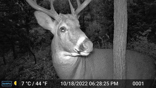 How Lens Quality Affects Trail Camera Performance