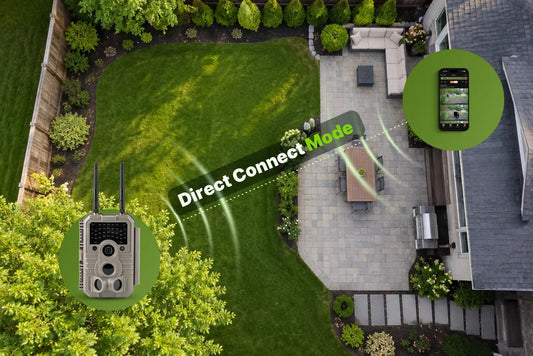 Can Trail Cameras Connect to Home WiFi? How a New Generation of WiFi Trail Cameras Works