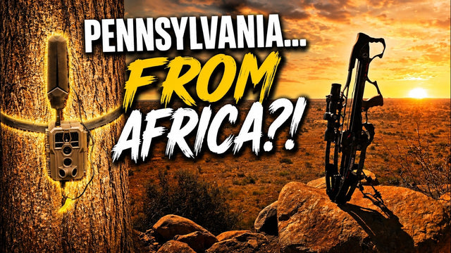 GardePro X60 Live Max Review:  I Checked My Pennsylvania Trail Cameras... FROM AFRICA!
