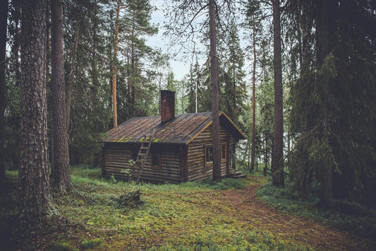 The Ultimate Guide to Cellular Trail Cameras for Cabin Security & Wildlife