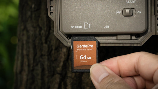 How Long Do Trail Camera SD Cards Last?
