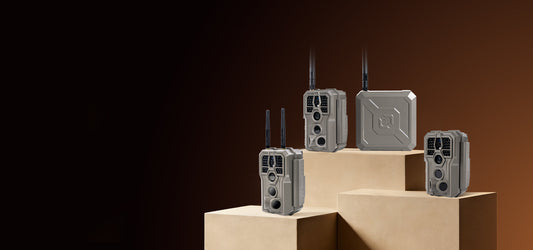 Trail Camera Types Explained: A Complete Guide to Choosing the Right Setup (2026)
