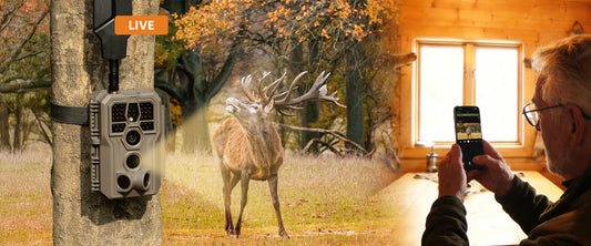 What to Know Before Buying Your First Cellular Trail Camera