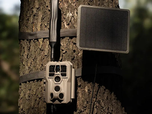 Built-in Solar vs. External Solar Panels for Trail Cameras: Which Power Option Is Better?