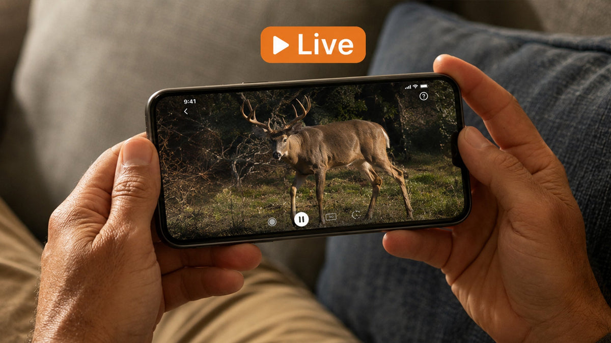 Live Stream Cellular Trail Cameras