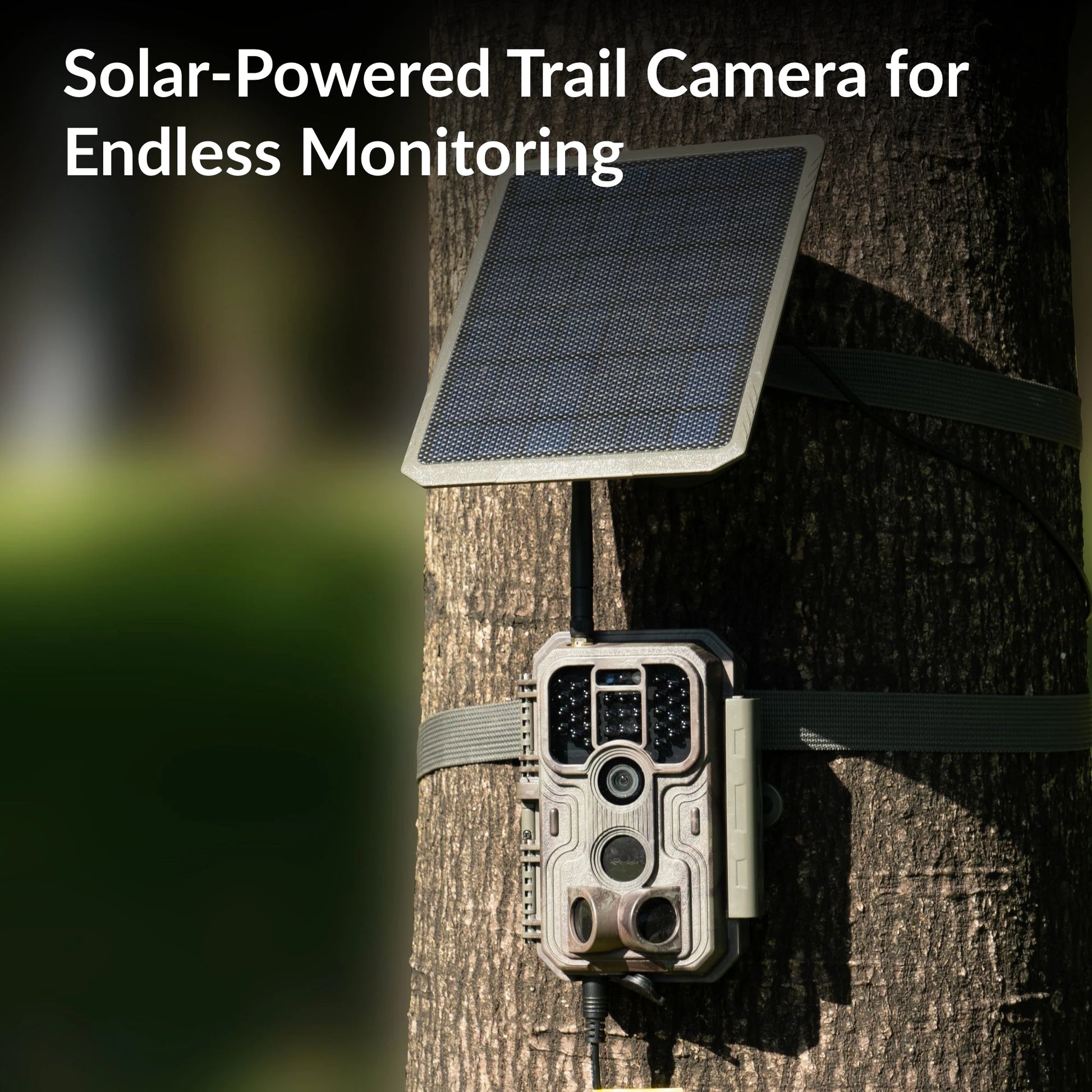 Gardepro E9p Trail Cam Video Recorder Garde Pro A3 Trail Camera