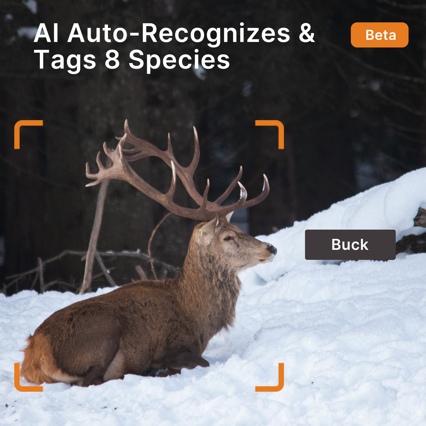 GardePro X66 Pro Max Cellular AI Trail Camera