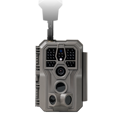 Cellular Trail Camera