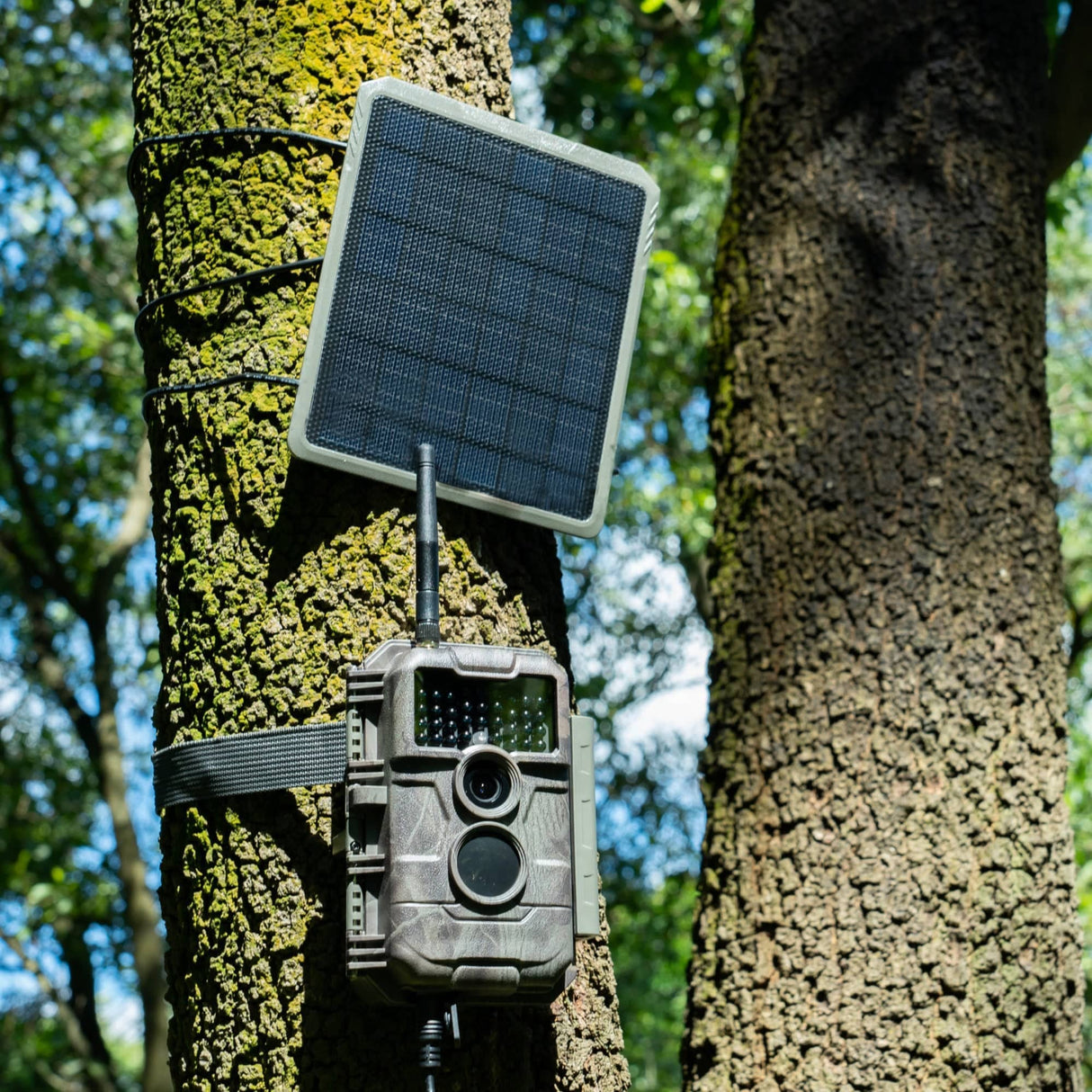 GardePro WiFi Trail Camera E6PMB With Rechargeable Battery & 32G Built-in Memory SD Card & Solar Panel