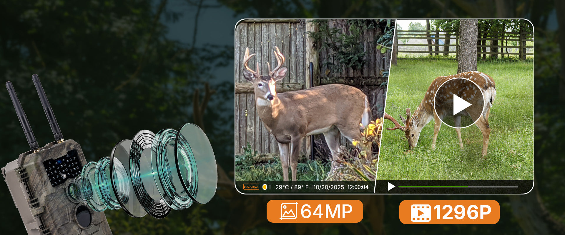 GardePro E6+ WiFi trail camera capturing 64MP photos and 1296p videos, delivering crisp, detailed wildlife footage
