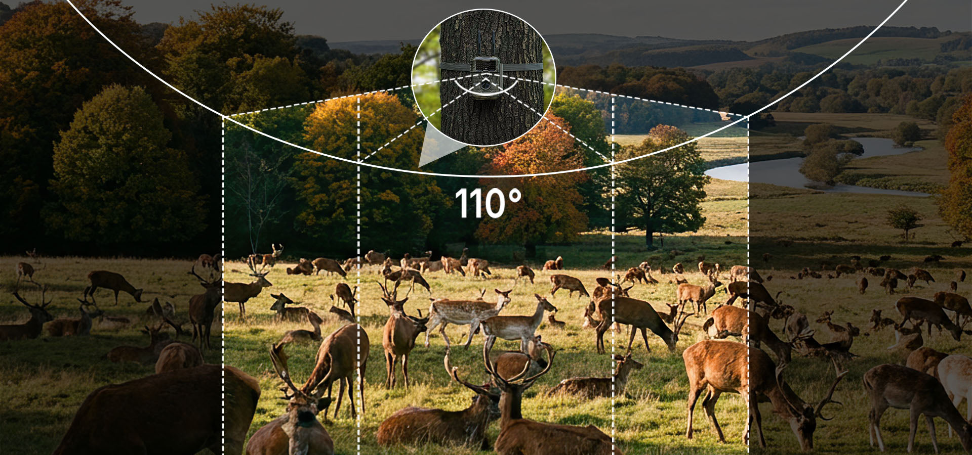 GardePro E6+ WiFi trail camera covering a large herd of deer with its 110° wide-angle detection range