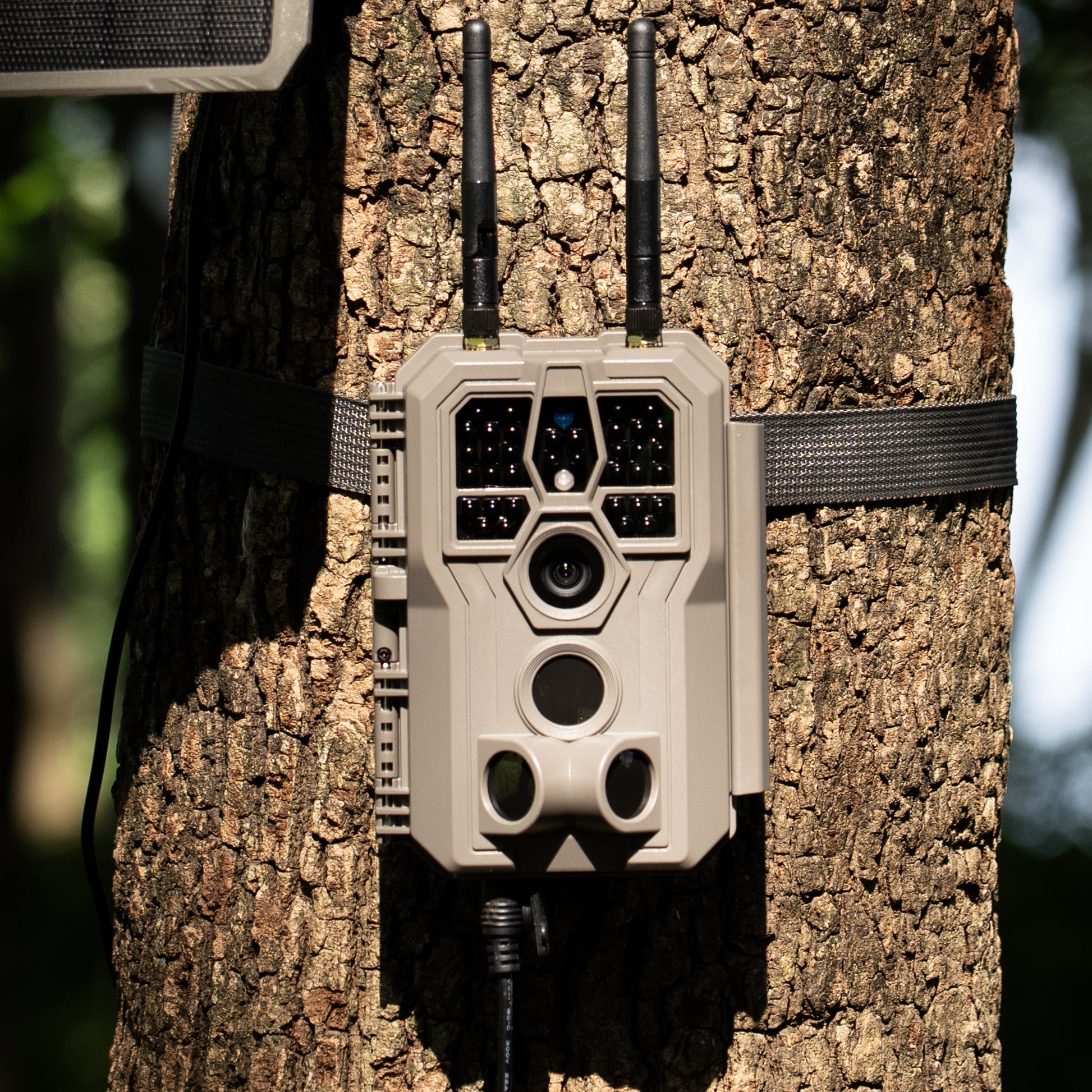 GardePro E8 2.0 Pro Wi-Fi Trail Camera 2 Pack - GardePro