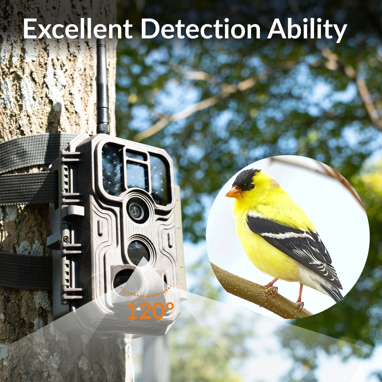 best trail camera 2024, wireless trail camera, video recording best trail camera for wildlife