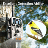 best trail camera 2024, wireless trail camera, video recording best trail camera for wildlife