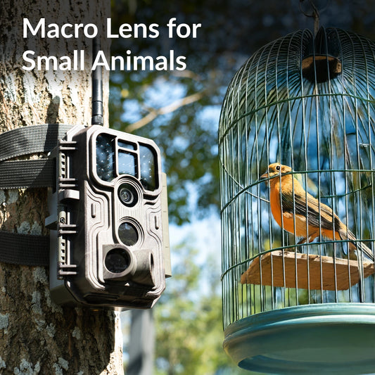 GardePro E9P Close Focus WiFi Trail Camera for wildlife, macro lens, live view, ideal for small animals and video capture 2025